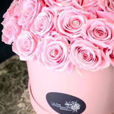 Infinity Rose Box Pink