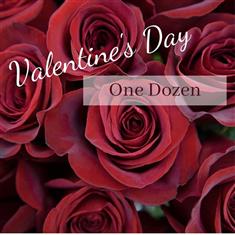 Valentine One Dozen