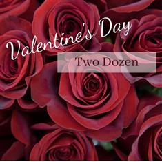Valentine Two Dozen