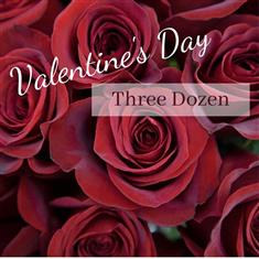 Valentine Three Dozen
