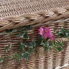 Ivy Garland for Wicker Casket