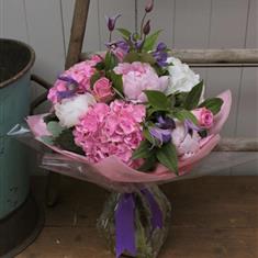 Pretty Hydrangea