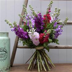 Scented Stocks
