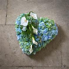 Blue Heart Tribute 