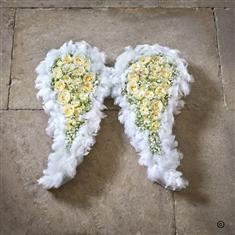 Angel Wings 