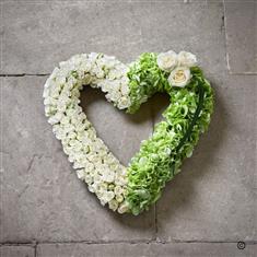 Graceful Open Heart 