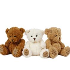&#39;I Love you&#39;  bear
