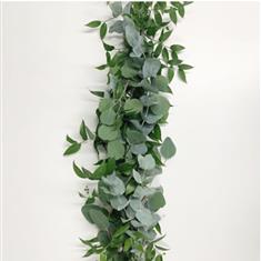 Soft Ruscus, Eucalyptus, Cinerea &amp; Populous Garland 
