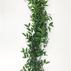 Soft Ruscus, Eucalyptus Parvifolia Garland