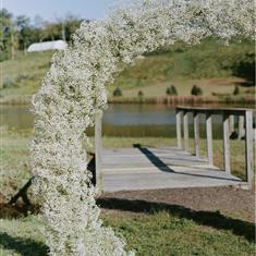 Gyp, Gyposphila, Baby's Breath Half Moon Arch Hire