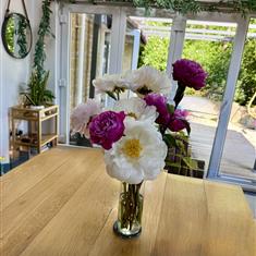 Mixed Peony Vase