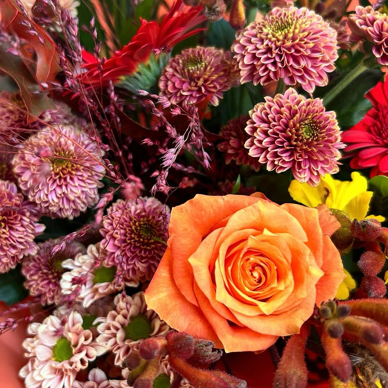 Sorry Apology Flowers bouquet