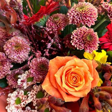 Sorry Apology Flowers bouquet